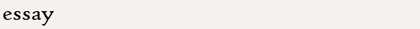 essay