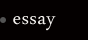 essay