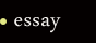 essay